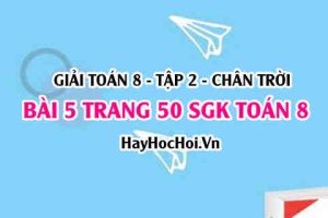 Bài 5 trang 50 Toán 8 Tập 2 Chân trời sáng tạo